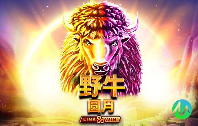 盛兴平台入口